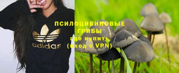 крисы Арсеньев