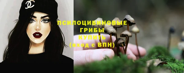 крисы Арсеньев