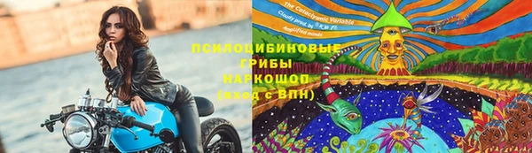 ГАЛЛЮЦИНОГЕННЫЕ ГРИБЫ Армянск